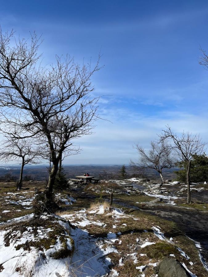 Bed and Breakfast U Vaclava Hřensko Zewnętrze zdjęcie