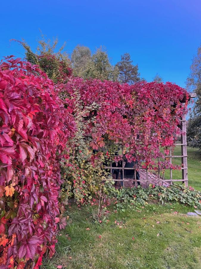 Bed and Breakfast U Vaclava Hřensko Zewnętrze zdjęcie